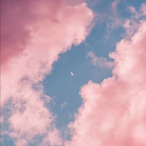 Meet your Posher, Madisyn